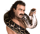 *Jake Roberts1_m*